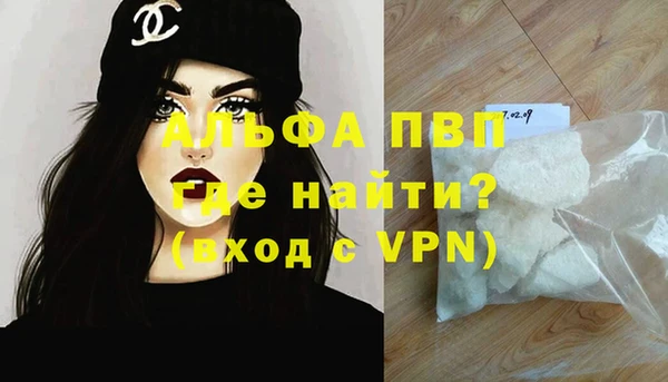 шишки Белокуриха