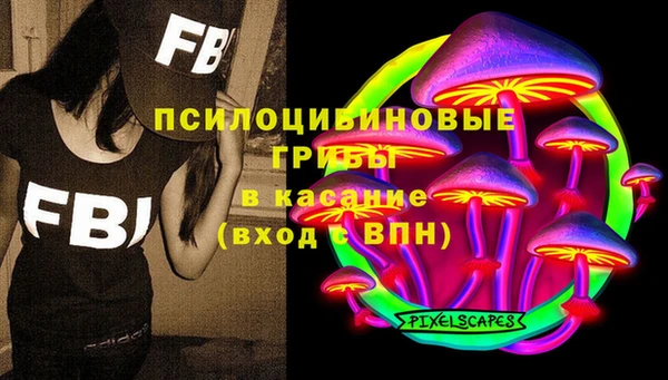 эйфоретик Баксан