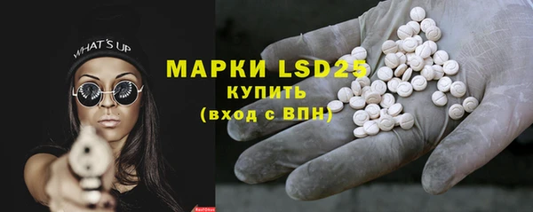 шишки Белокуриха