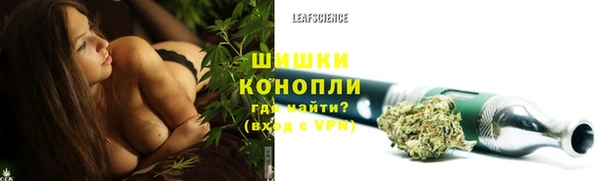 гидропоника Дмитриев
