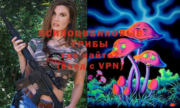 эйфоретик Баксан