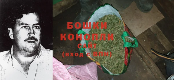 шишки Дмитровск