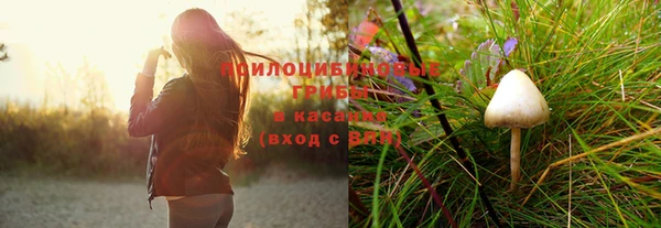 шишки Белокуриха