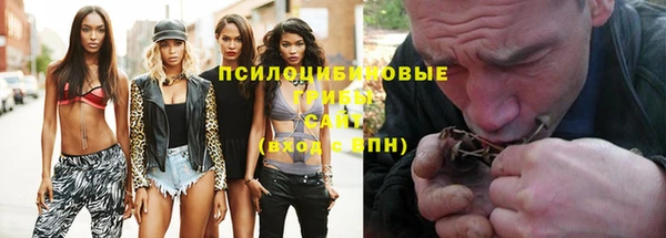 эйфоретик Баксан