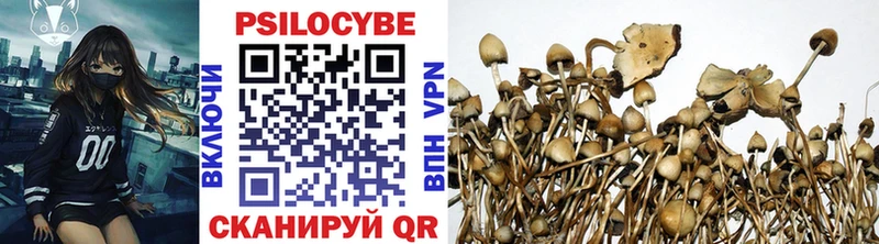Псилоцибиновые грибы прущие грибы  как найти   mega как зайти  Сибай 
